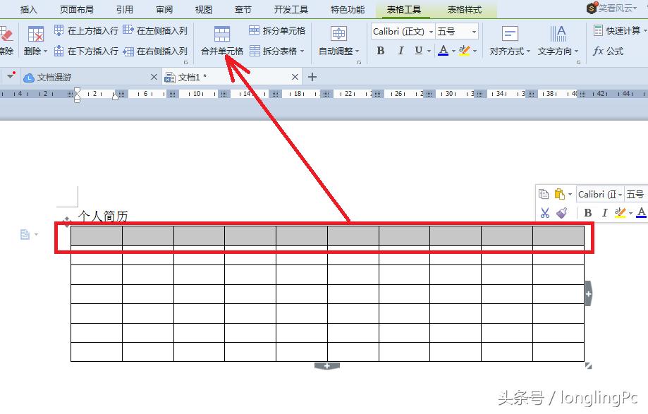 WPS个人简历模板下载，轻松制作优质简历的便捷工具