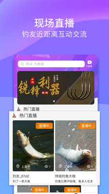 垂钓直播下载，垂钓领域的全新探索与体验
