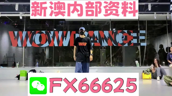 新澳门精准资料大全管家婆料,稳定性策略设计_XT48.41