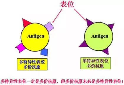 2024年12月1日 第57页