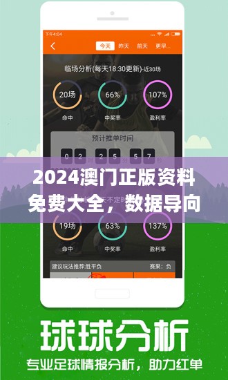 2024年新澳门王中王免费,实地数据评估策略_领航版68.64