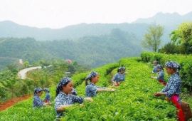 西石村乡天气预报更新通知