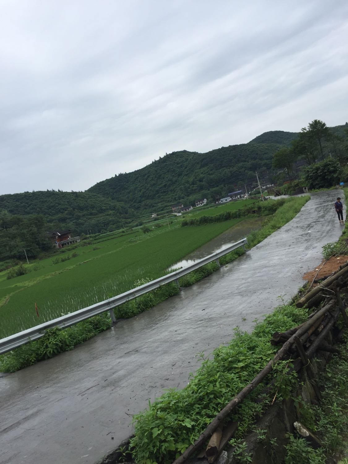 凉水口镇天气预报更新通知