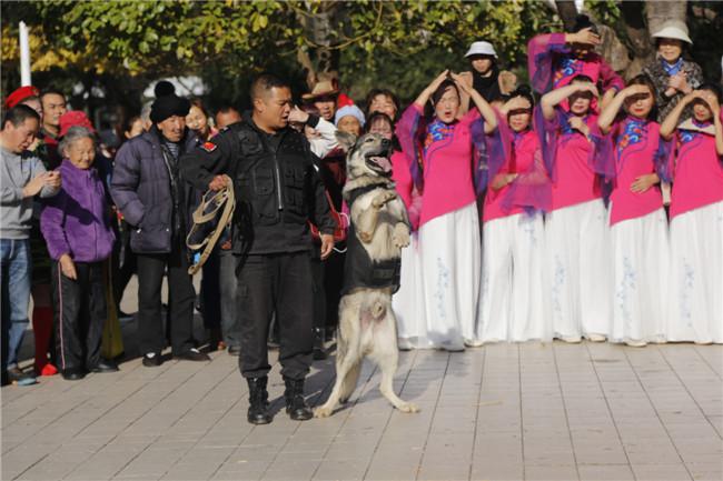 西山区民政局发展规划，构建和谐社会，开启服务民生新篇章