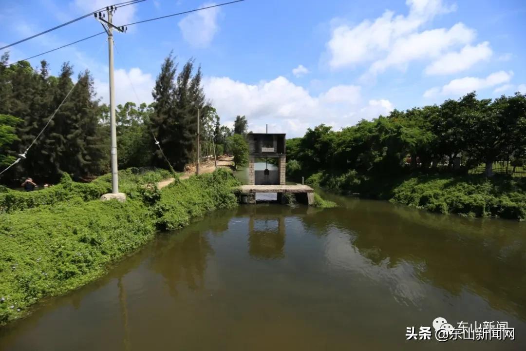 樟塘镇领导团队引领未来发展之路