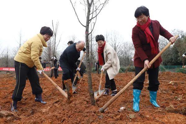 东方红机械林场最新动态报道