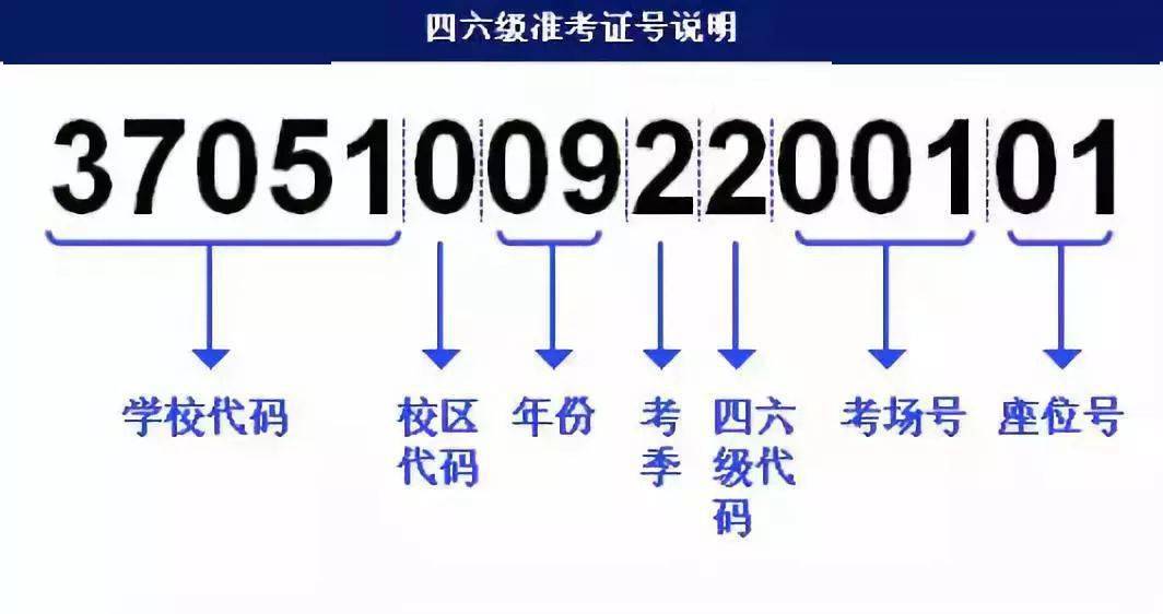 管家婆资料精准一句真言,快速计划设计解答_高级款51.387