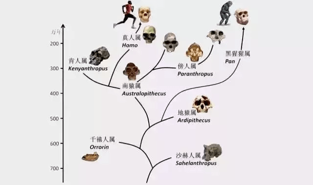 澳门4949开奖结果最快,动态调整策略执行_尊贵款77.391