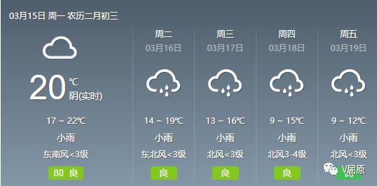 2024年12月8日 第5页