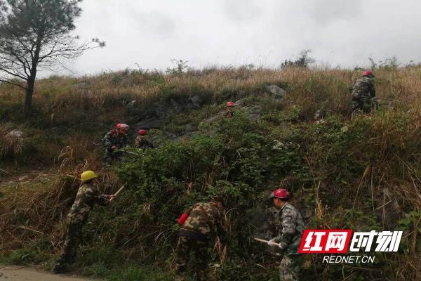 土桥农场新领导引领农场开启崭新篇章