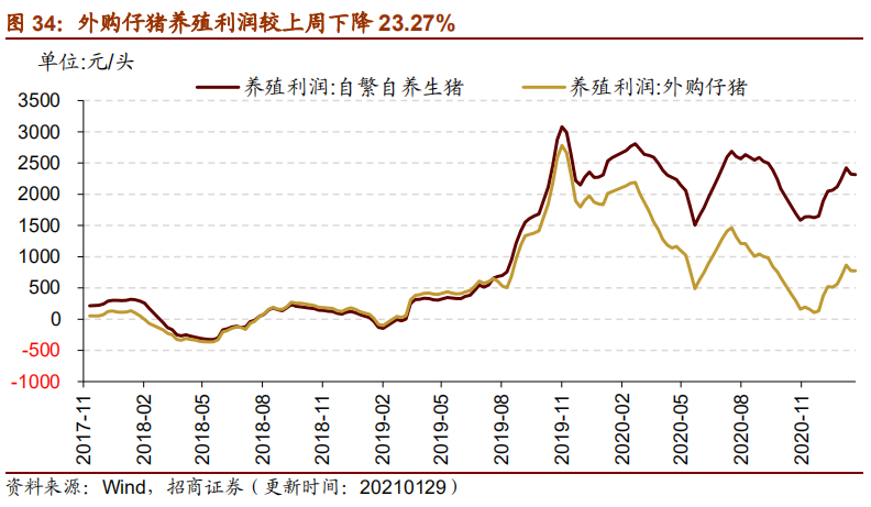 新澳开奖历史记录查询,快捷问题策略设计_M版76.420