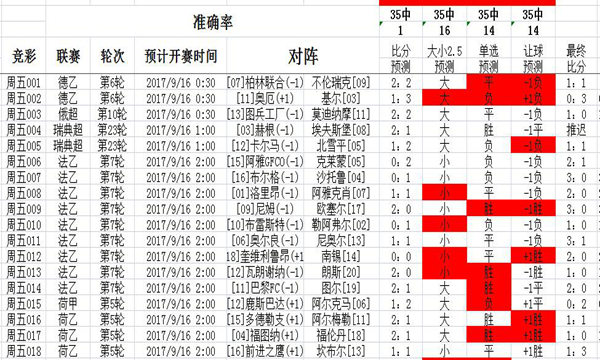 二四六天天彩资料大公开,实地数据评估解析_win305.210