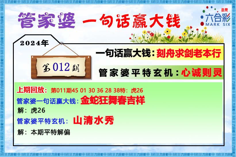 管家婆的资料一肖中特5期172,稳定性策略解析_策略版30.305