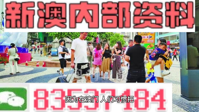 新澳精准资料免费提供2024澳门,灵活性方案解析_精装版83.288