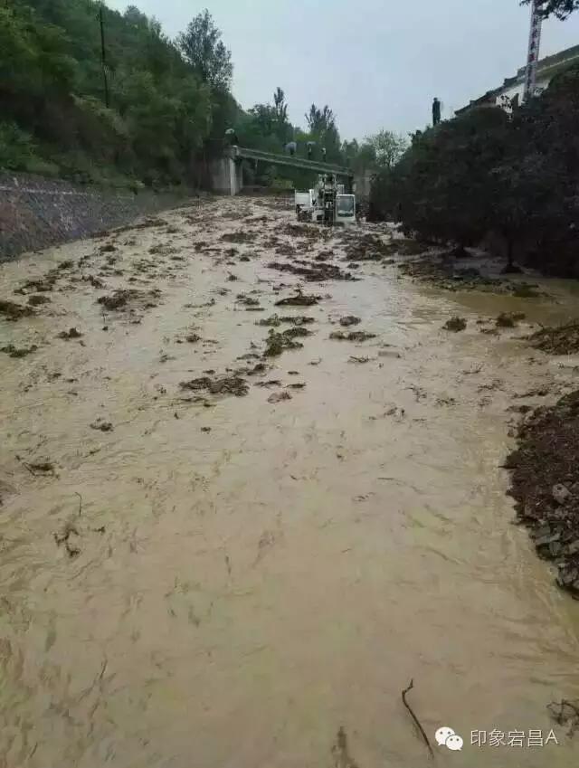 阿坞乡最新项目，乡村振兴与可持续发展的新引擎