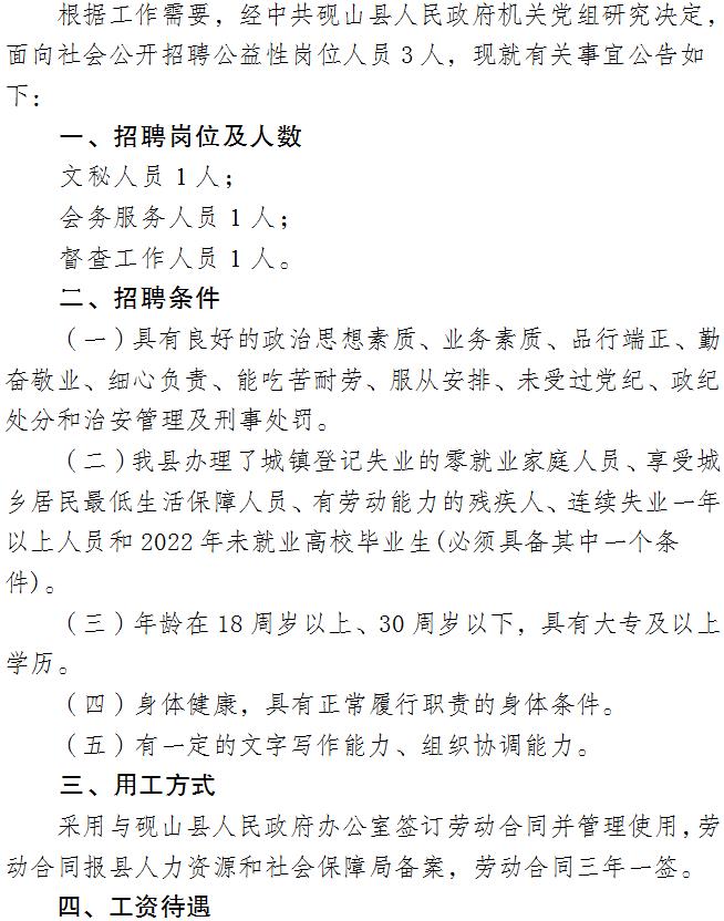 岐山县体育局最新招聘信息全面解析