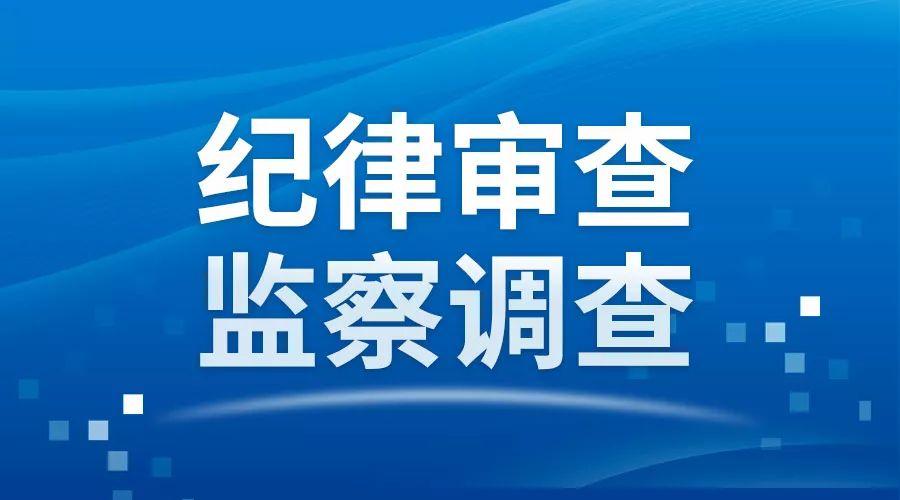 八道江区市场监督管理局最新项目概览与动态