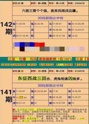 新澳门六肖期期准,实地验证分析_粉丝款91.33