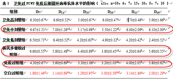 黄大仙免费资料大全最新,实地计划设计验证_RemixOS42.63