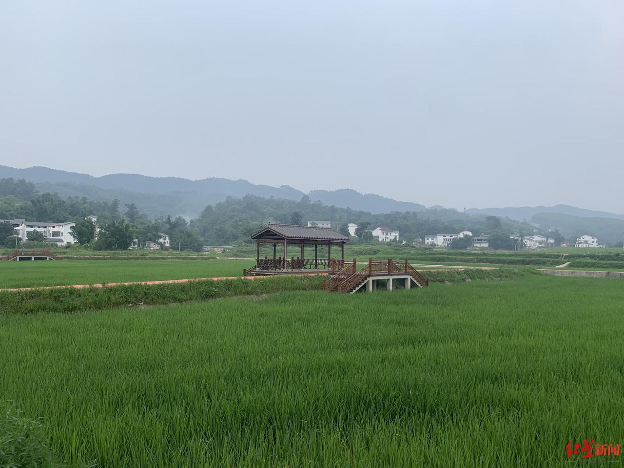 站在馨染回忆ゝ