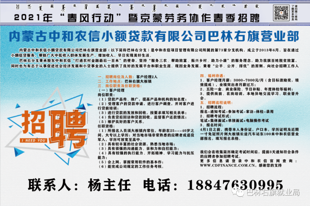 江洛镇最新招聘信息详解及解读