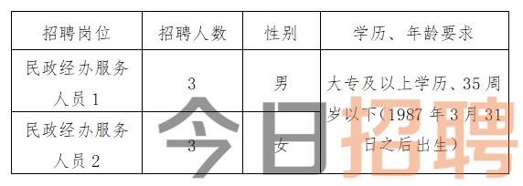 澧县民政局最新招聘信息全面解析